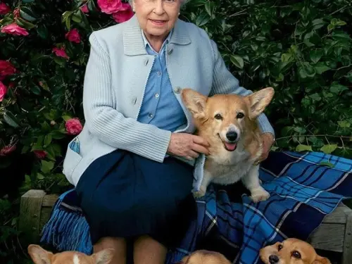 NEWBERY DEXTER